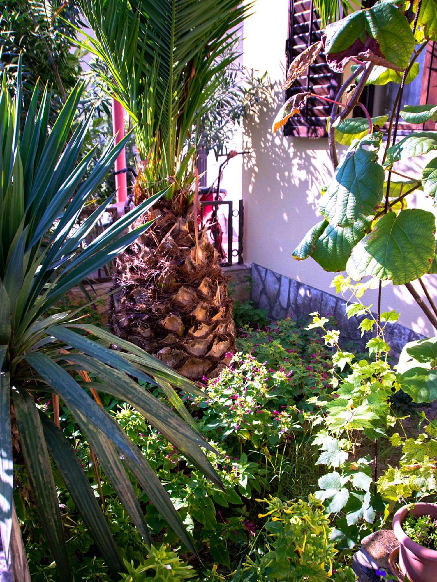 Apartments Anna Zadar Room photo
